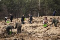 Блаженніший Святослав разом зі священниками висадив саджанці у лісі на&nbsp;Київщині