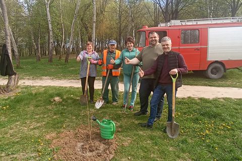 Завдяки Екобюро УГКЦ у Луцьку висадили 29 дерев