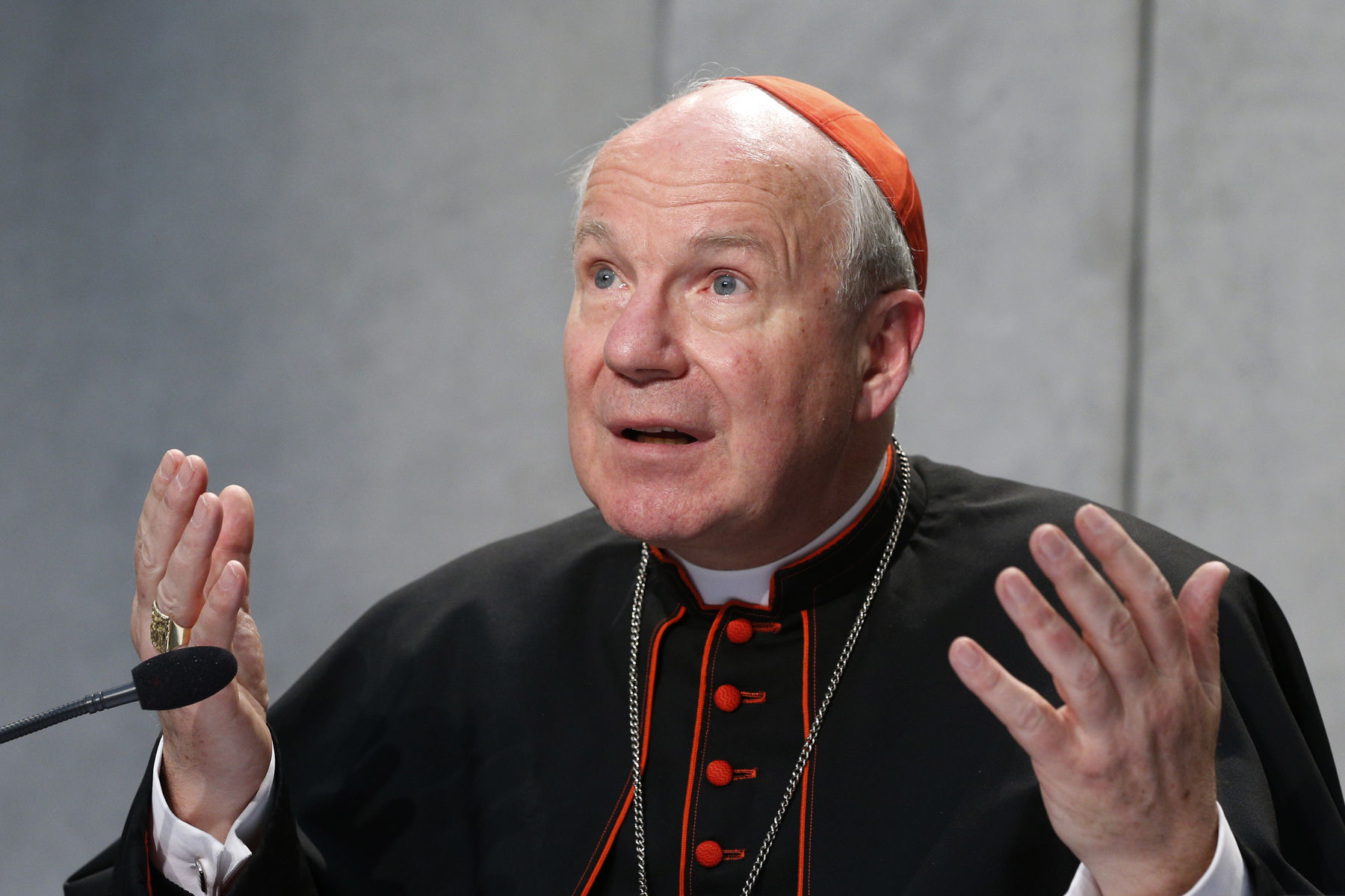 Cardinal Schönborn: “Russia is deliberately destroying Ukraine”