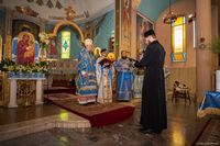 Єпархія Покрову Пресвятої Богородиці в Аргентині відсвяткувала престольний празник