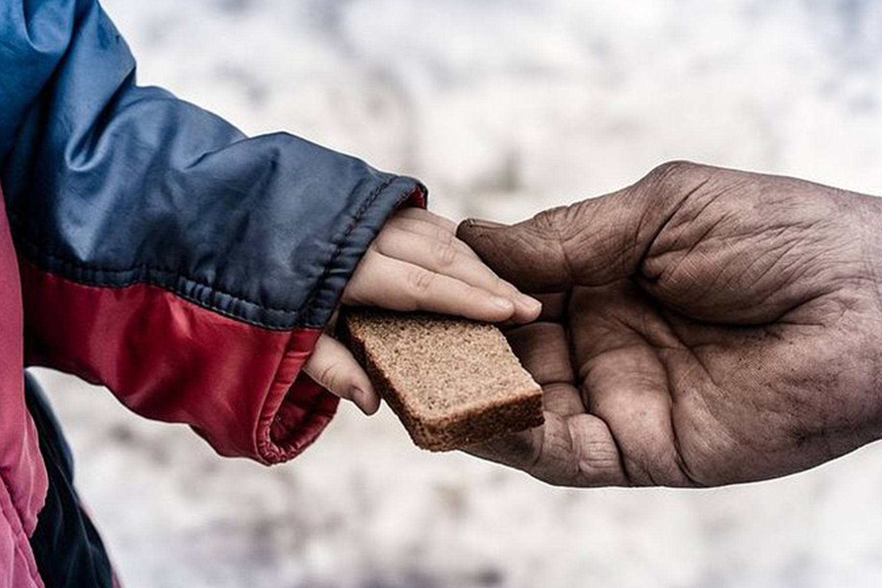 «Солідарність у дійсності»: Католицька Церква відзначає Всесвітній день бідних