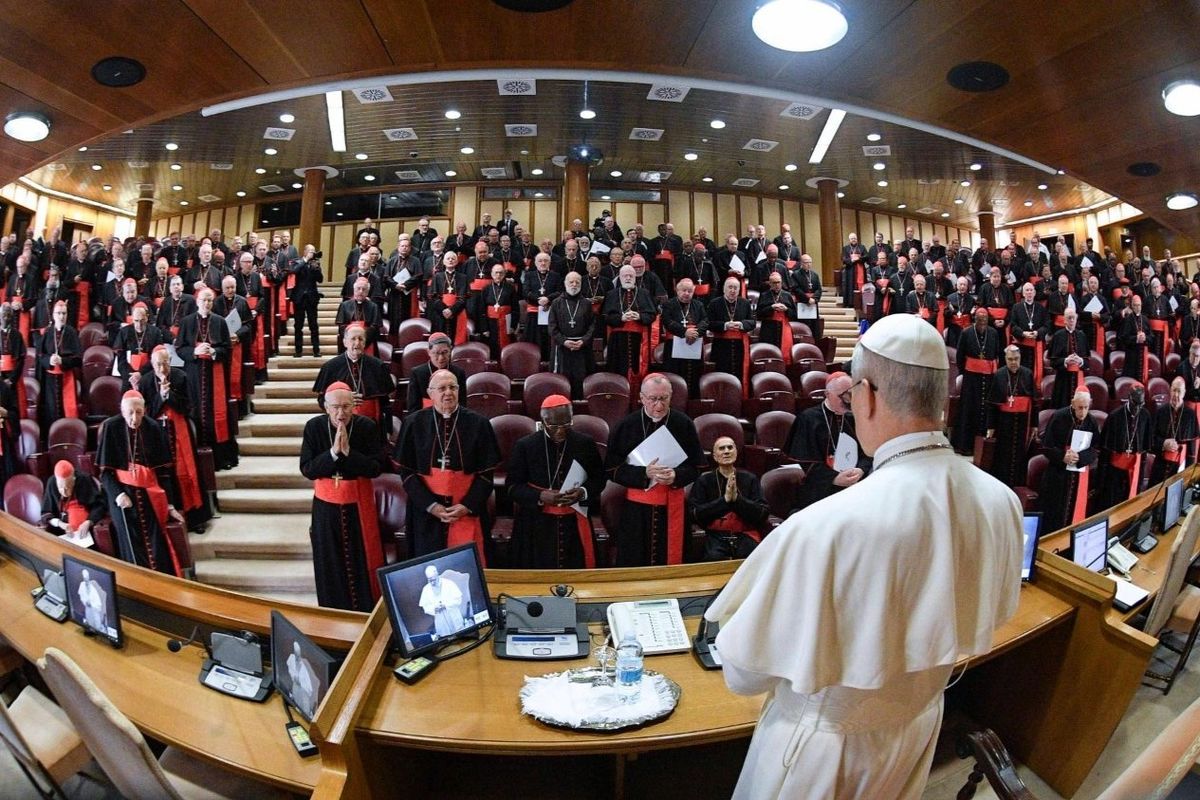 Pope Leo XIV to Cardinals: Church must respond to digital revolution