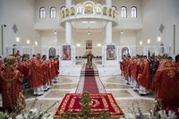 Глава УГКЦ у&nbsp;Великий четвер: &laquo;Щасливий той священник, який є&nbsp;причасником Божої дії по&nbsp;відношенню до&nbsp;людини&raquo;