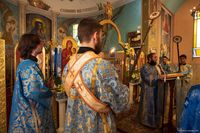 Єпархія Покрову Пресвятої Богородиці в Аргентині відсвяткувала престольний празник