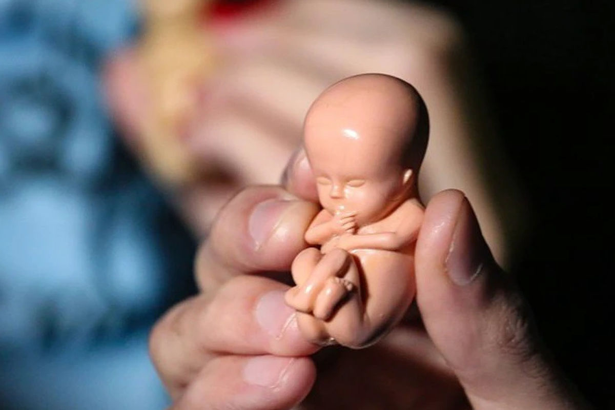 Цієї суботи в УГКЦ вшановують пам’ять абортованих дітей